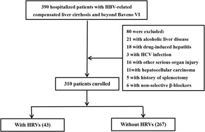 VariScreen secures the screening of high-risk varices in patients with hepatitis B virus-related cirrhosis beyond Baveno VI criteria